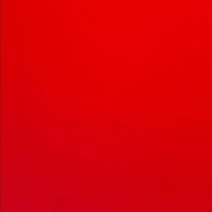 Meet your Posher, Caro